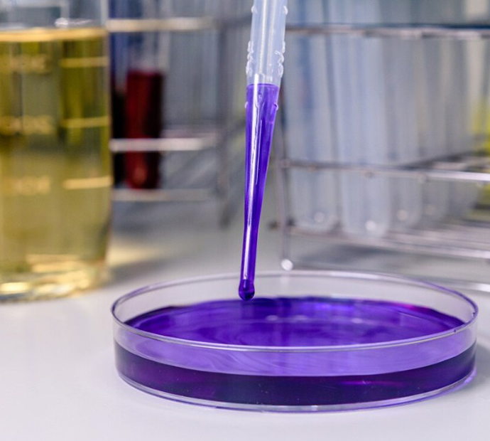 Petri Dishes